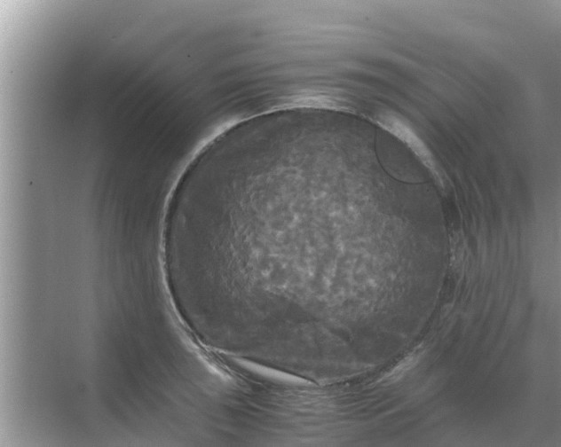 X0000071761043200607142357