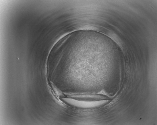 X0000071761044200607142357