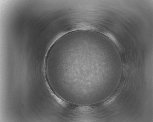 X0000071761046200607142357