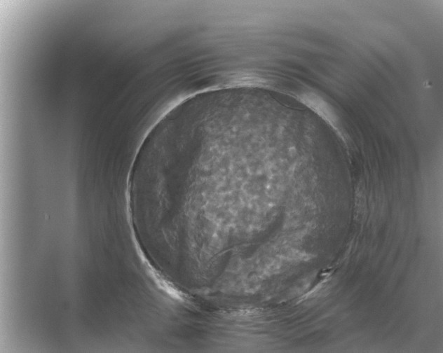 X0000071761047200607142357