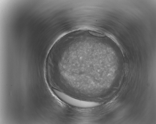 X0000071761048200607142357