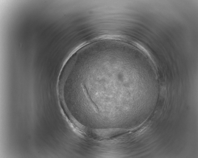 X0000071761050200607142357