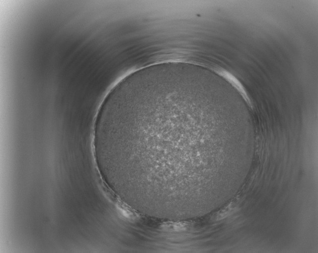 X0000071761051200607142357