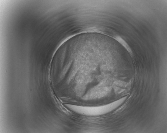 X0000071761052200607142357