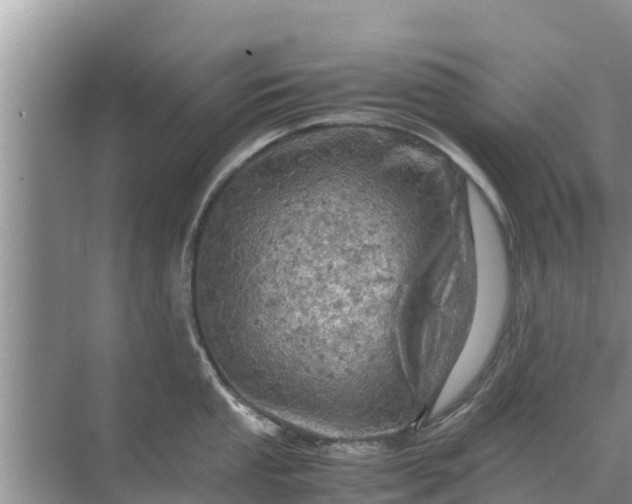 X0000071761053200607142357