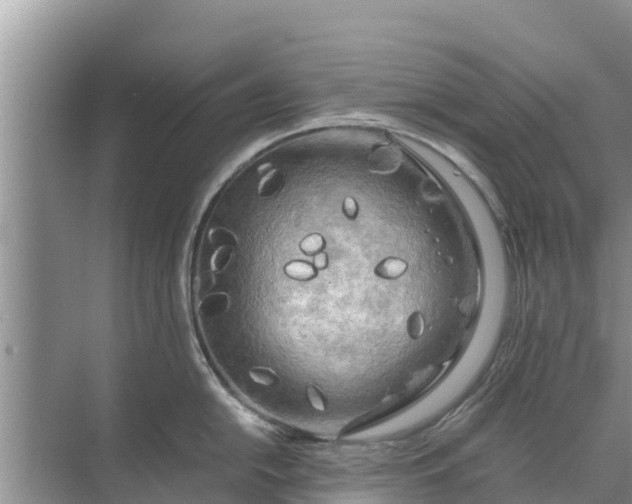 X0000071761054200607142357