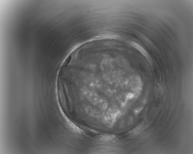 X0000071761055200607142357