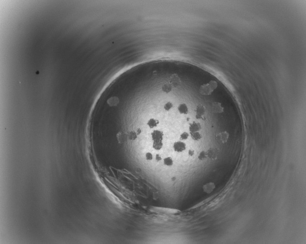 X0000071761056200607142357