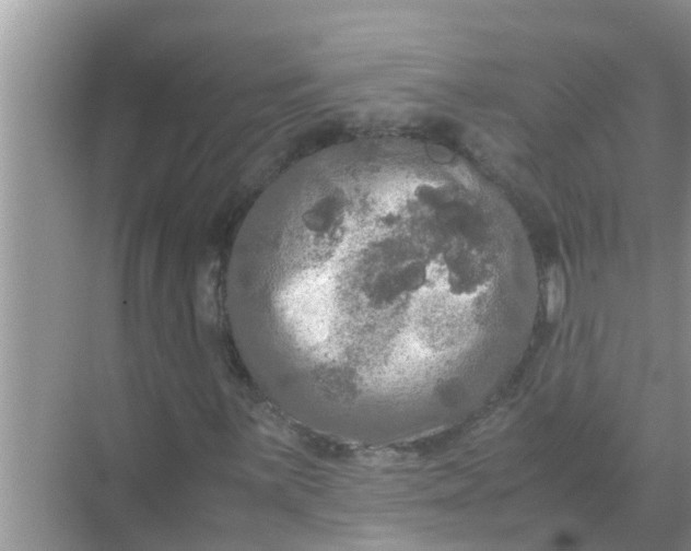 X0000071761059200607142356