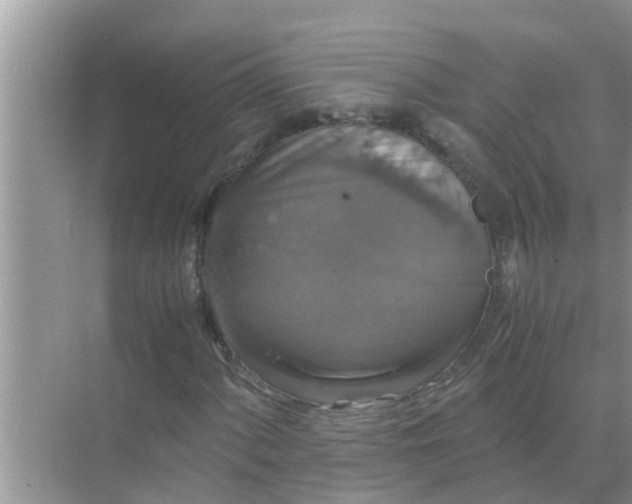 X0000071761060200607142356