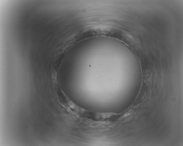 X0000071761061200607142356