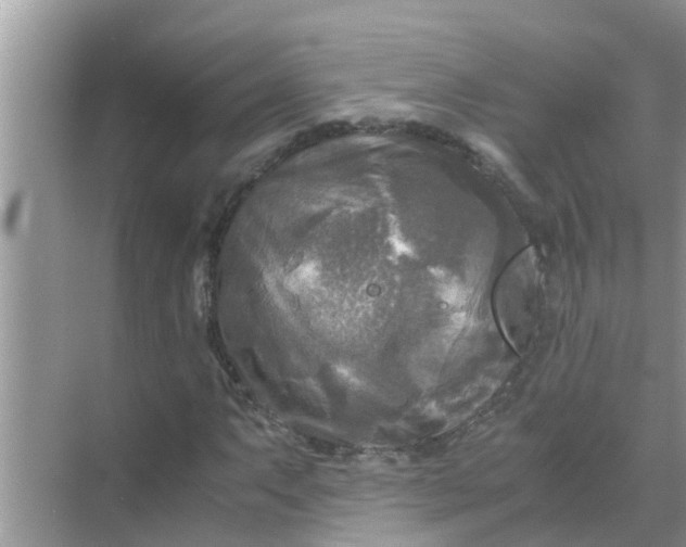 X0000071761063200607142356