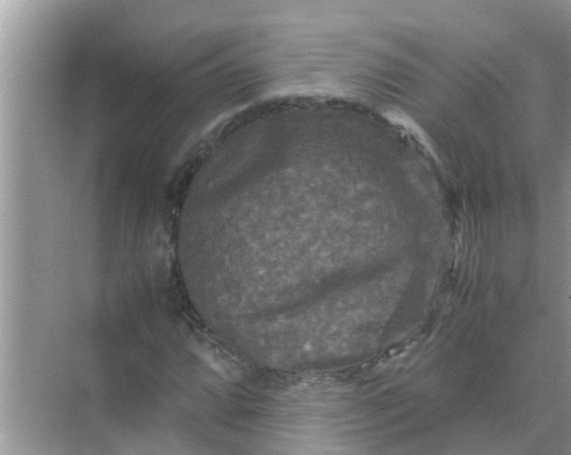 X0000071761064200607142356