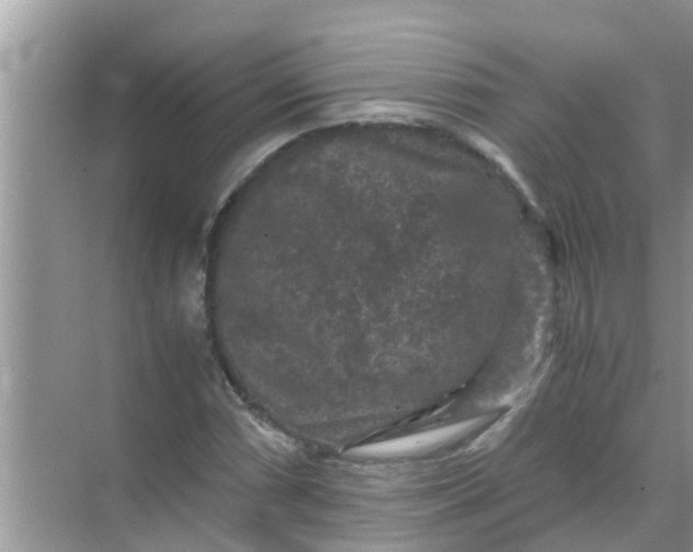 X0000071761066200607142356