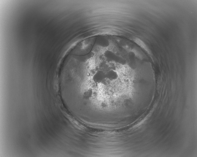 X0000071761067200607142356