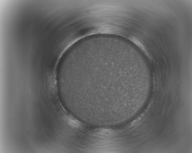 X0000071761070200607142356