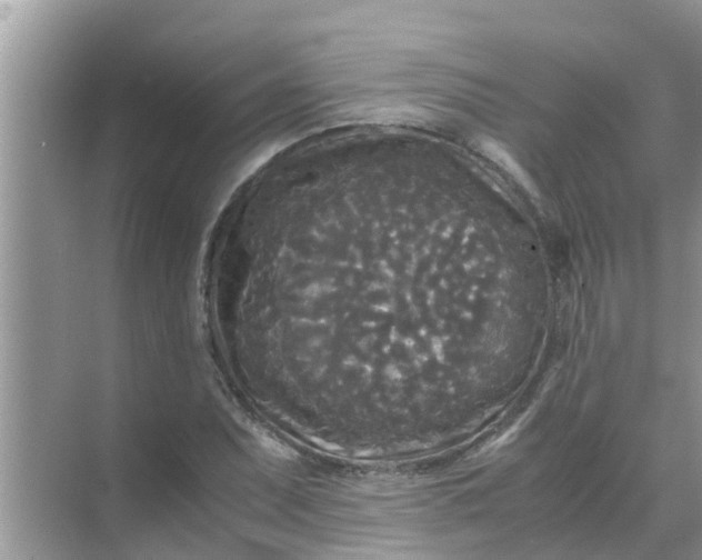 X0000071761071200607142356