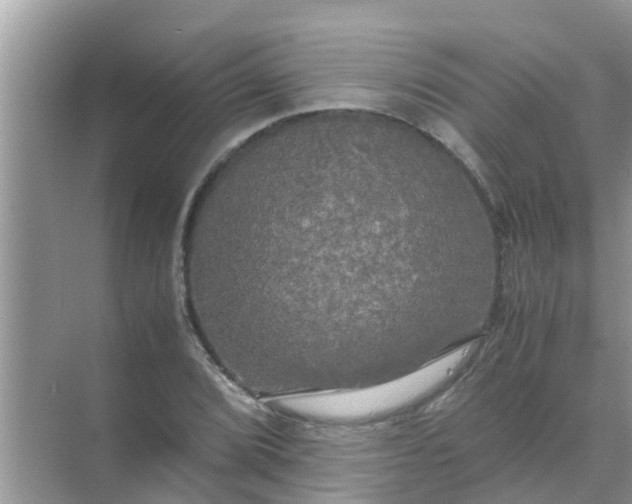 X0000071761072200607142356