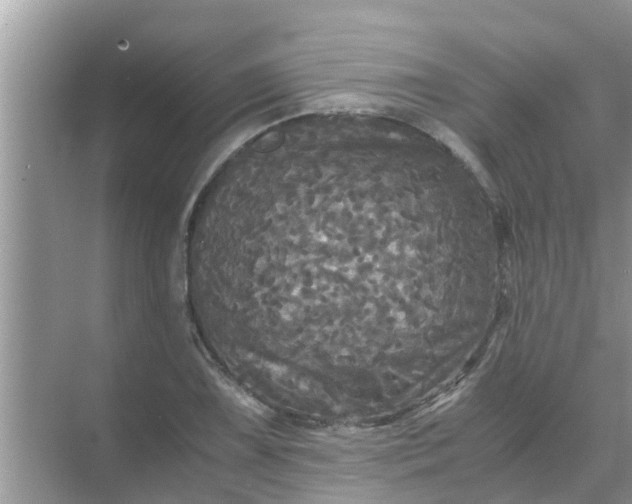 X0000071761075200607142356