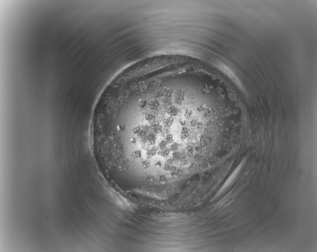 X0000071761076200607142356