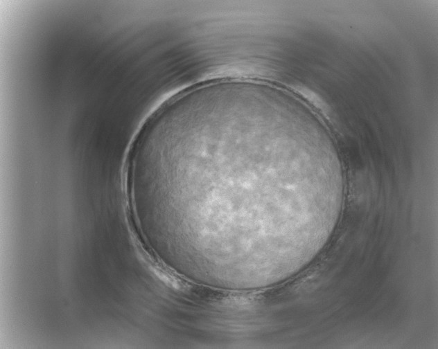 X0000071761078200607142356