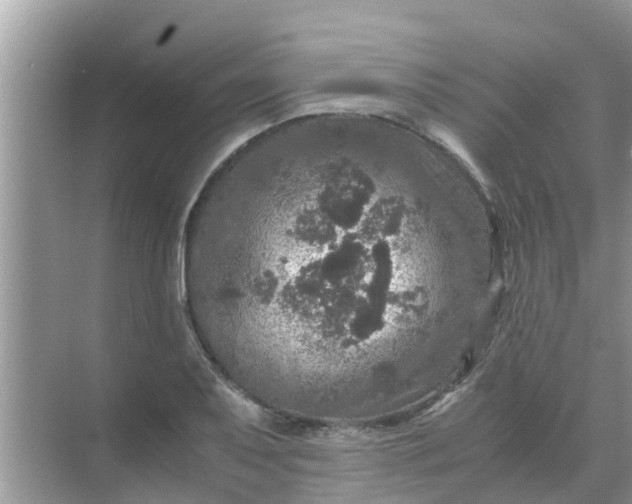 X0000071761079200607142356