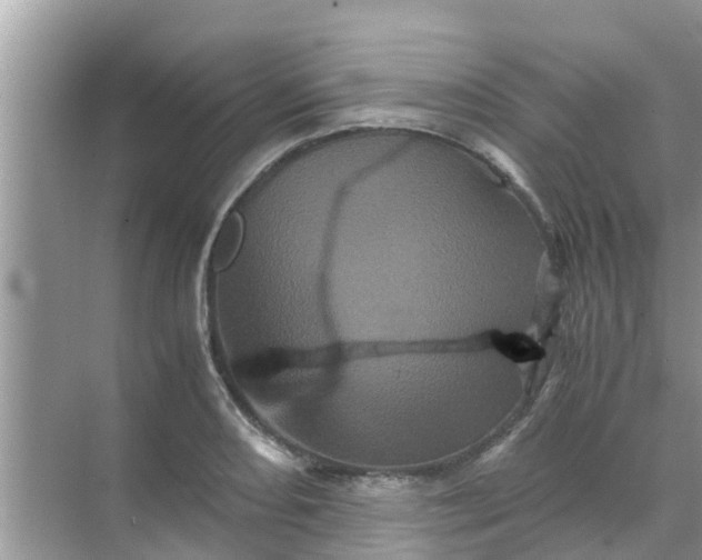 X0000071761082200607142356