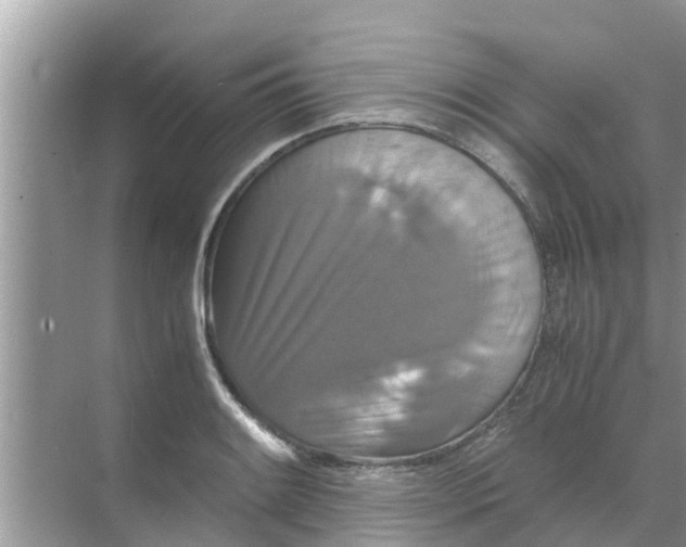 X0000071761084200607142356