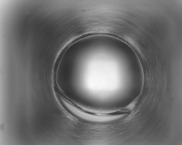 X0000071761085200607142356