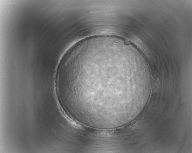 X0000071761086200607142356