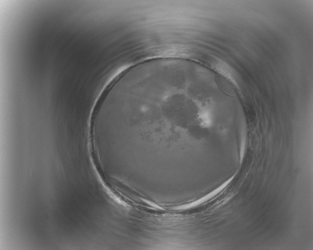 X0000071761087200607142356