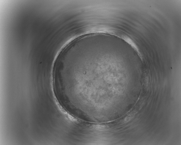 X0000071761088200607142356