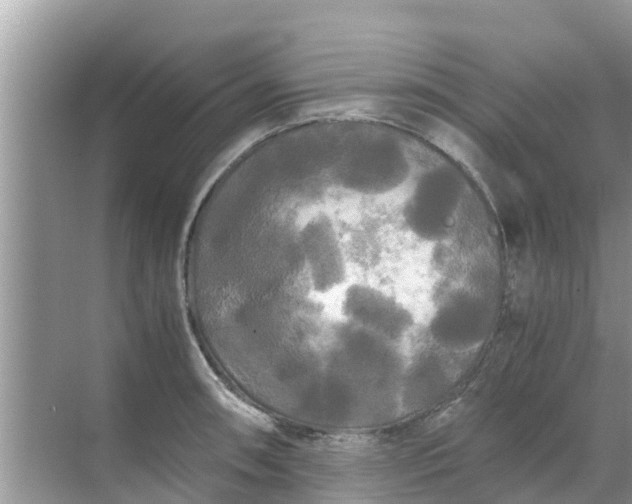 X0000071761090200607142356