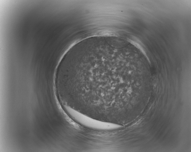 X0000071761091200607142356