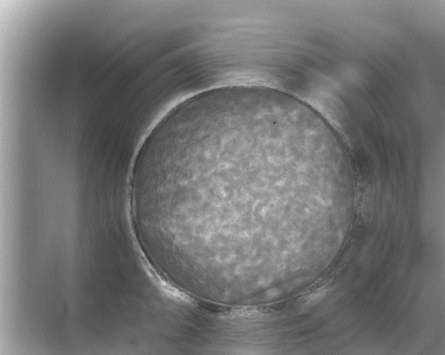 X0000071761094200607142356