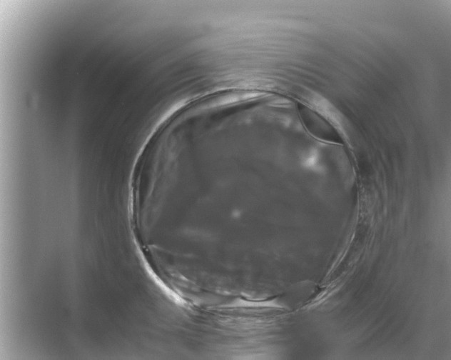 X0000071761095200607142356