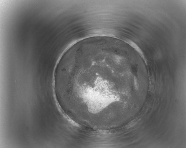 X0000071761096200607142356