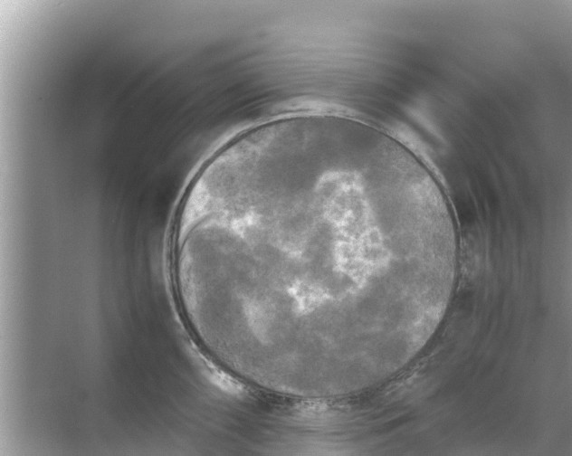 X0000071761098200607142356