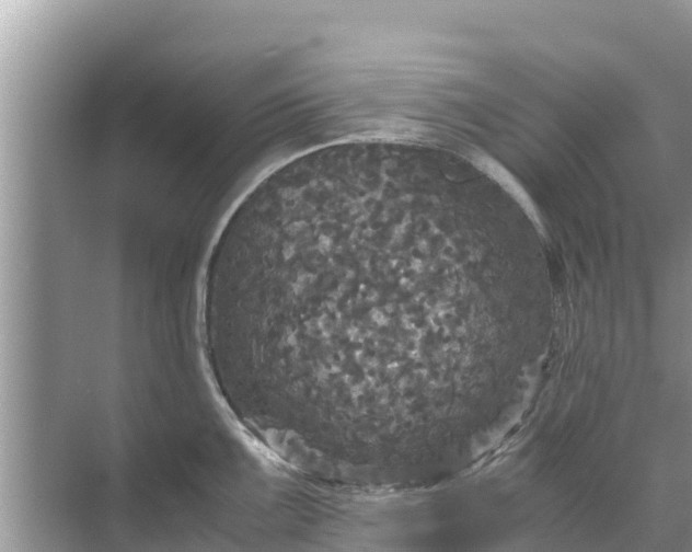 X0000071761099200607142356