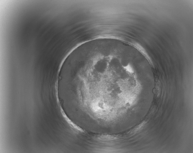 X0000071761100200607142356