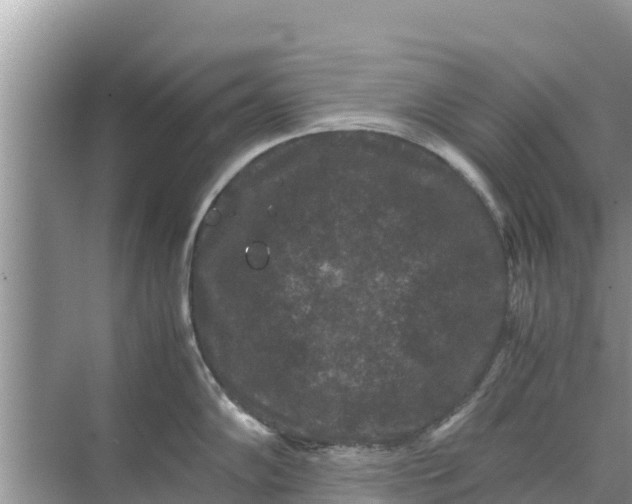 X0000071761102200607142356