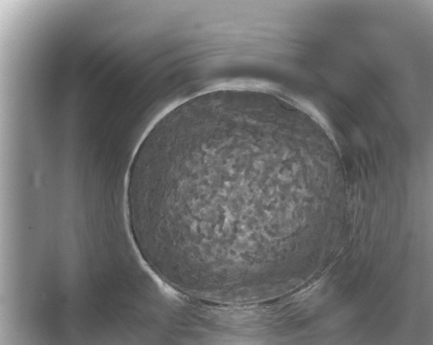 X0000071761103200607142356