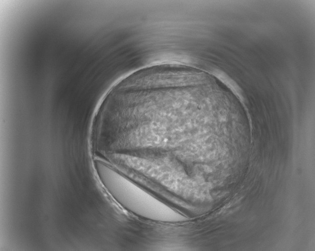 X0000071761104200607142356