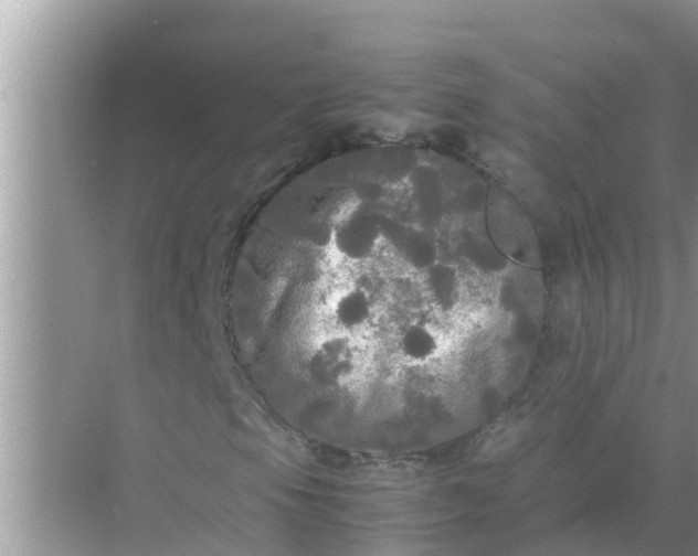 X0000071761105200607142355