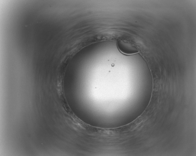 X0000071761109200607142355