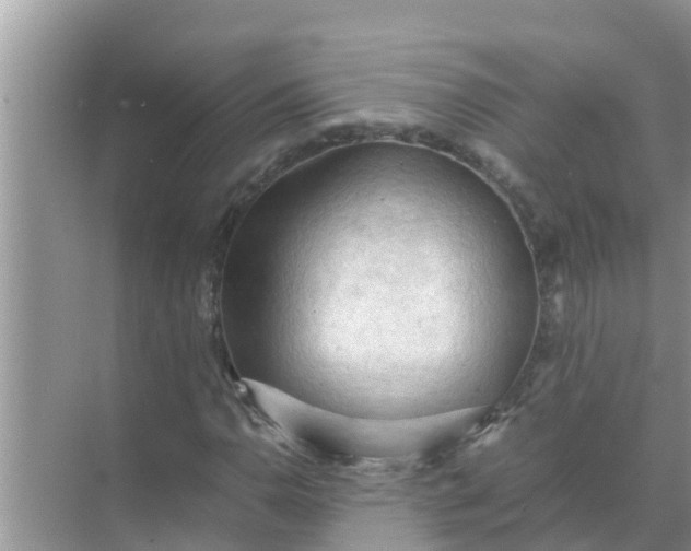 X0000071761110200607142355