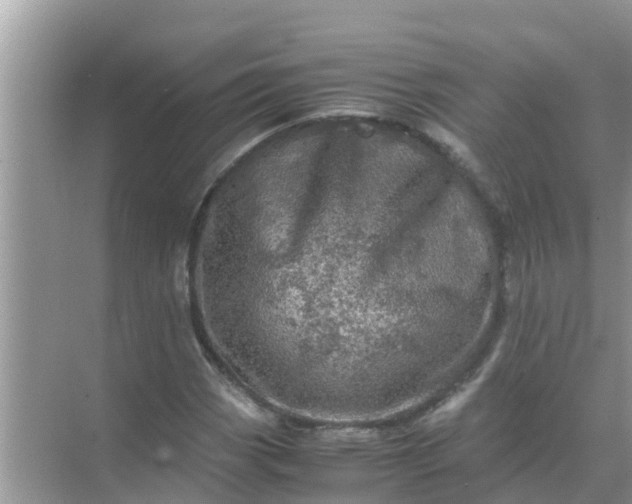 X0000071761113200607142355