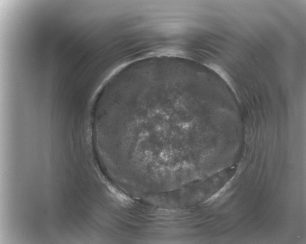 X0000071761115200607142355