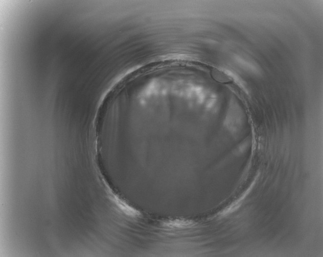 X0000071761117200607142355