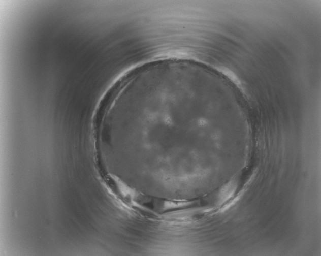 X0000071761118200607142355